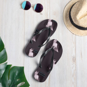 Flip-Flops Flip-Flops